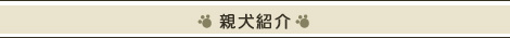 �r�[�O���̐e���Љ�