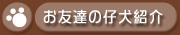 ���F�B�̎e���Љ�R�[�i�[